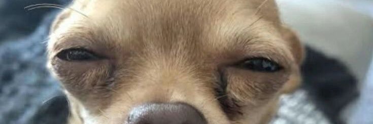 ⭑ banner