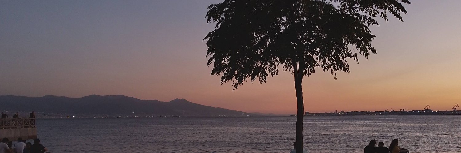 Ecem 🏳️‍⚧️ banner