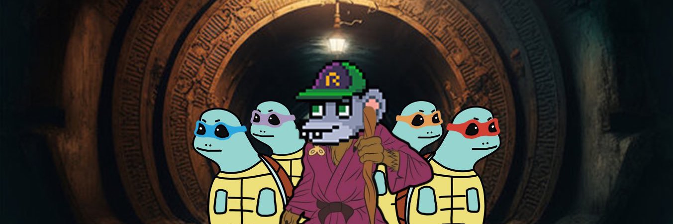 turtle banner