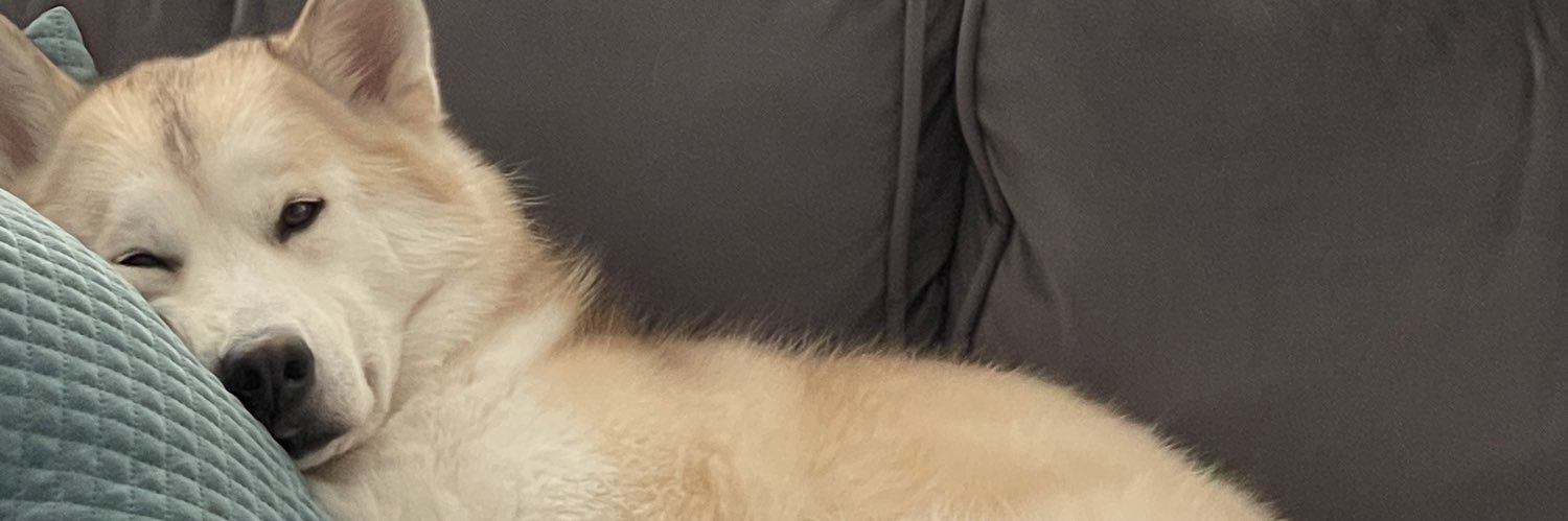 Nitttaaa___'s profile banner image