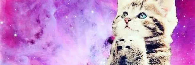 myneonbones's profile banner image