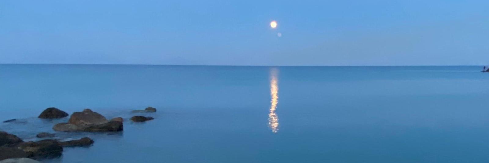 HurstMartin2024's profile banner image
