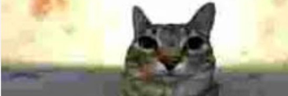 MaYYocct's profile banner image