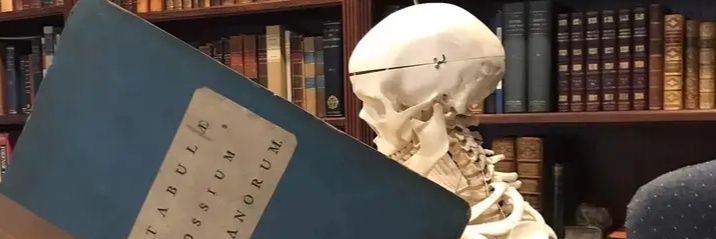 bluchefedU's profile banner image