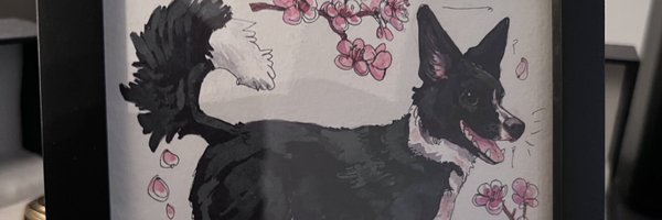 MrCleverFox Profile Banner