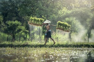 Brittany Davis banner