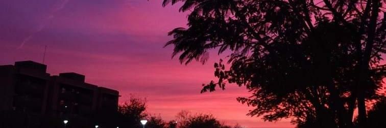 Shaik_Chashur's profile banner image
