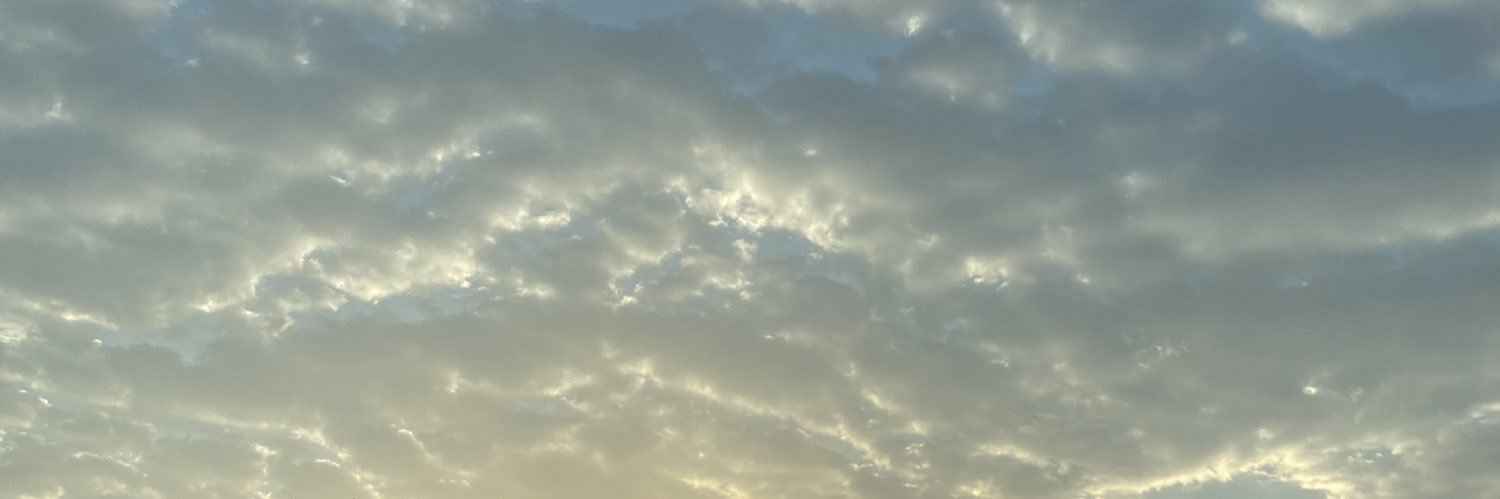 socoolliia's profile banner image