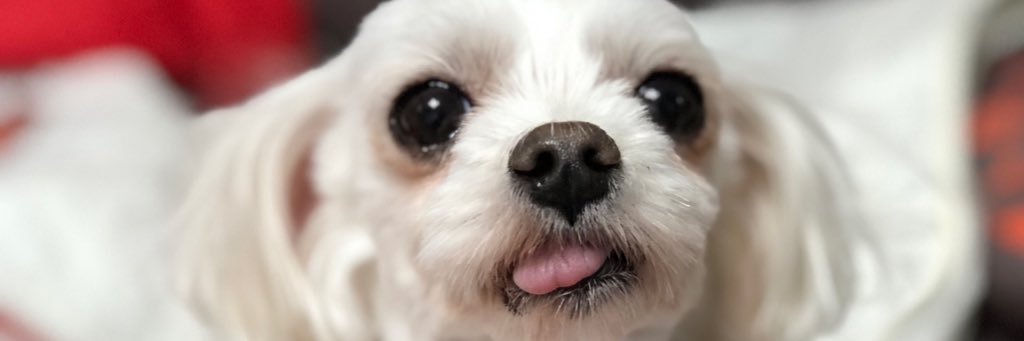 권성태 banner