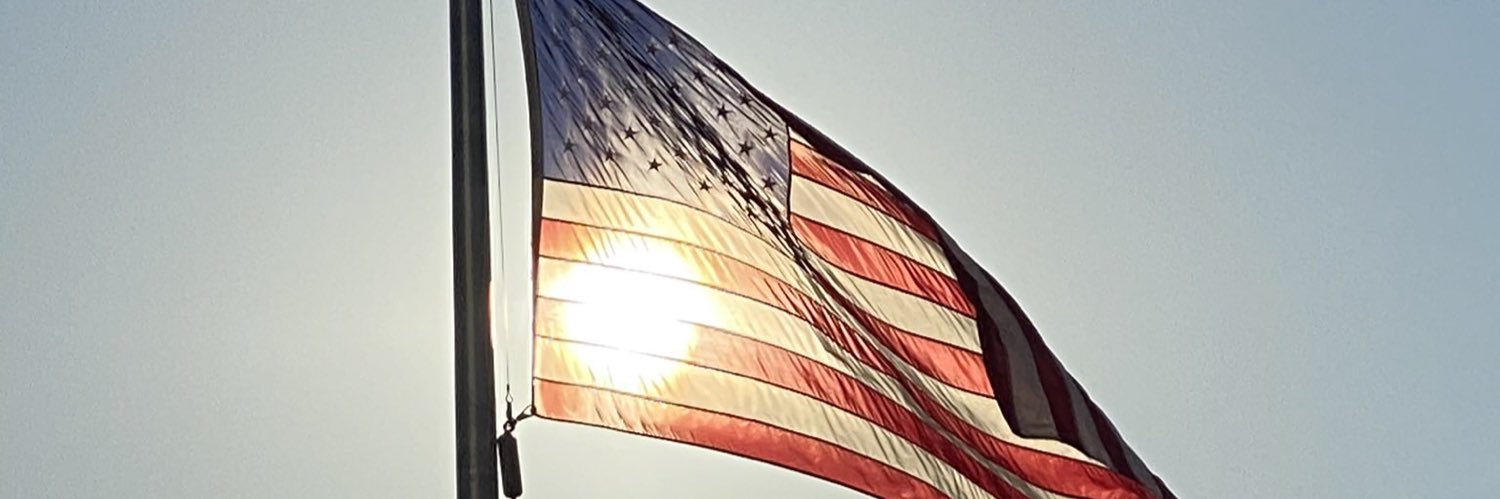 Crusader No 738 banner