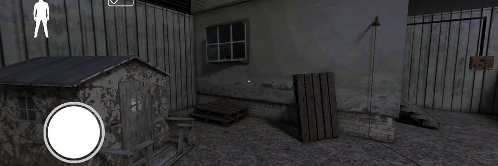 Penny McCool the Pink Bird banner