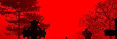 mari banner