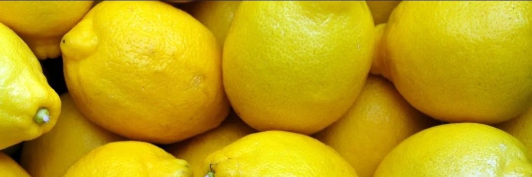 Marga Limon banner