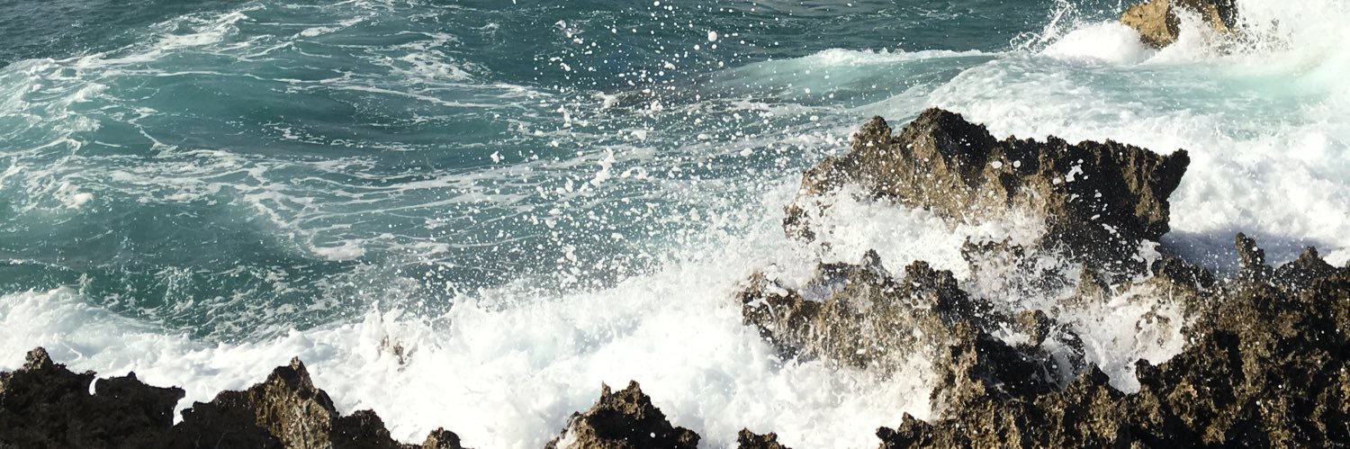 a_summer_b's profile banner image