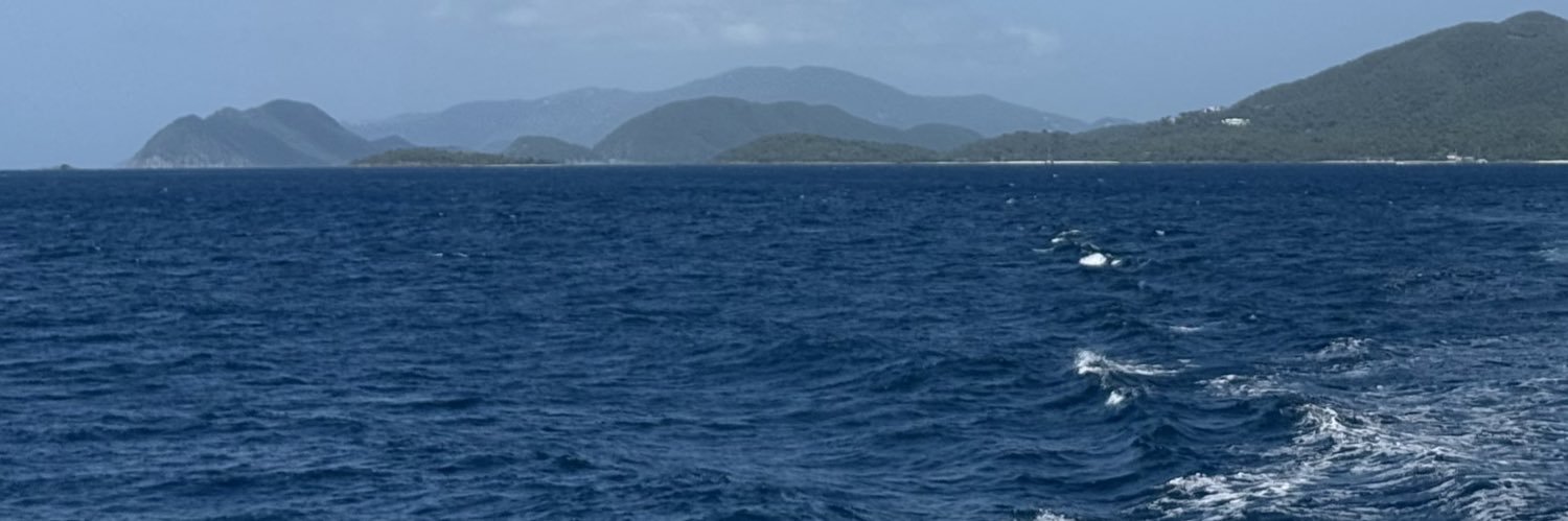 Lisa banner