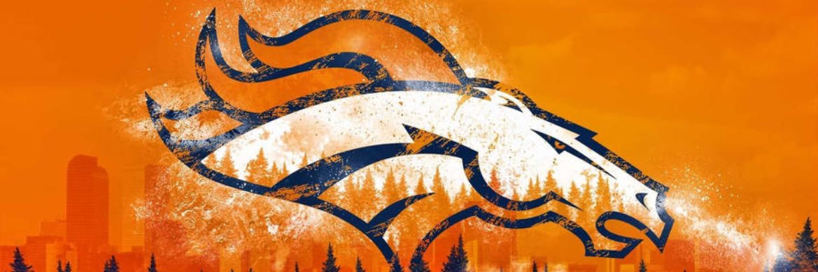 NikBonittoFan's profile banner image