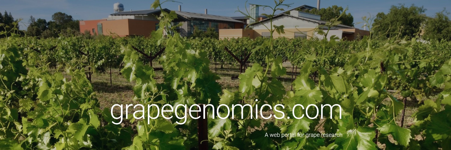 grapegenomics's profile banner image