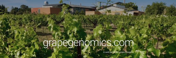 grapegenomics Profile Banner