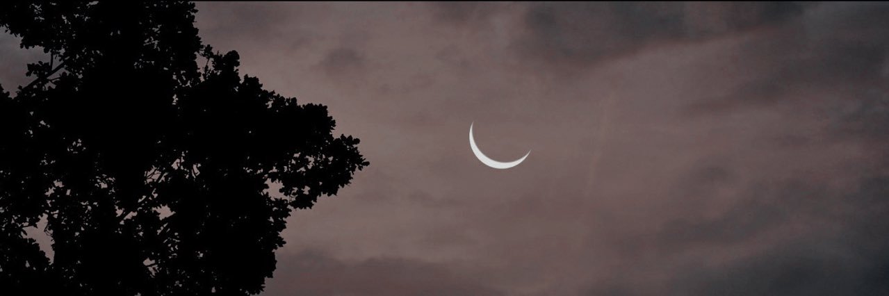 celestialwit's profile banner image