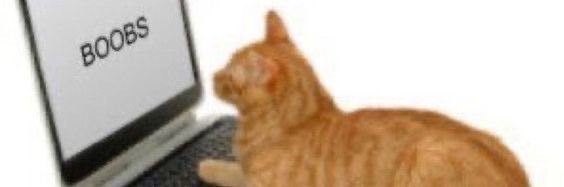 lululasticot_'s profile banner image