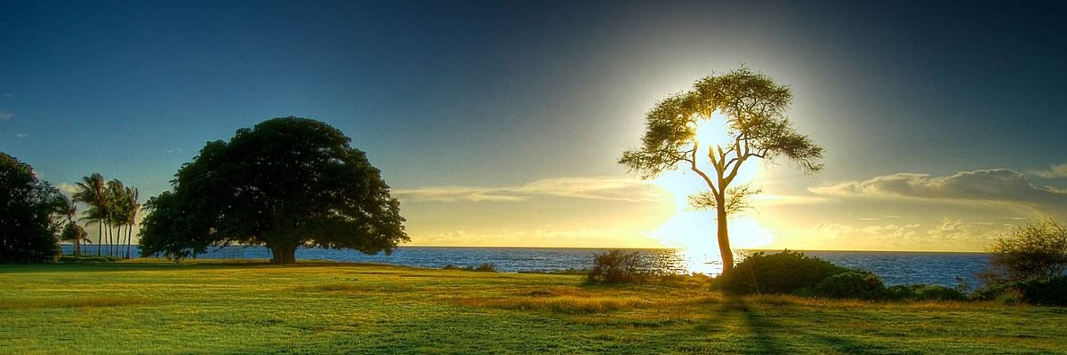 Blckboyanonym's profile banner image