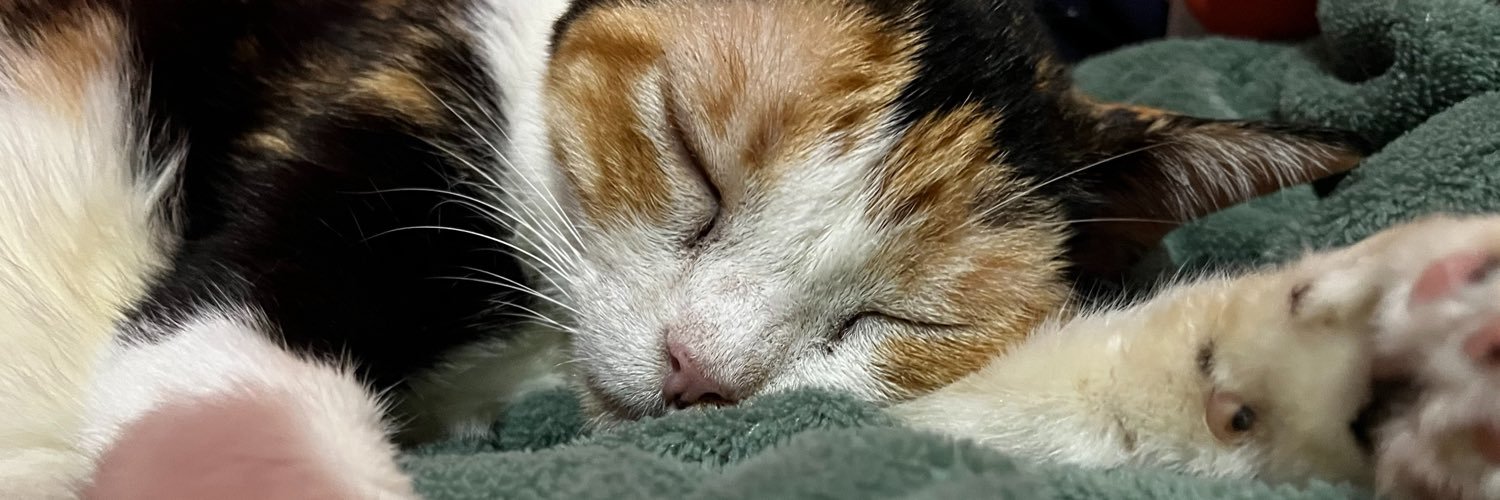 cwramello's profile banner image