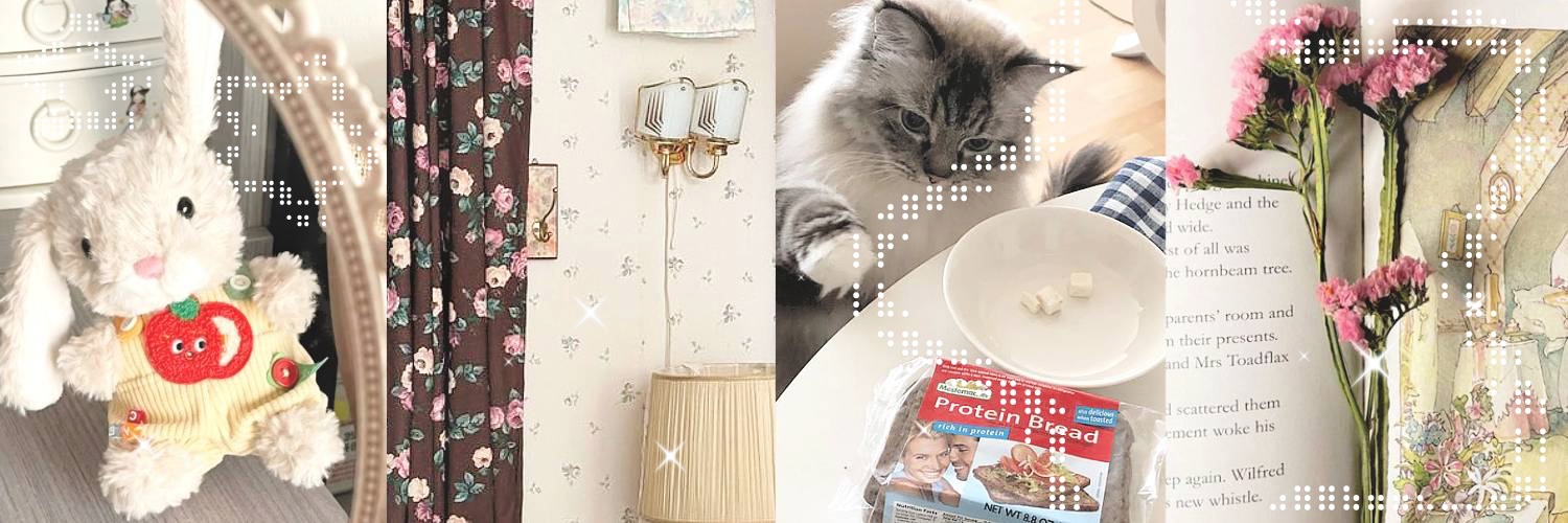 𓏭 𓈒 ૮ cαyα gαmαdα ˃̵ 𖥦 ˂̵ banner