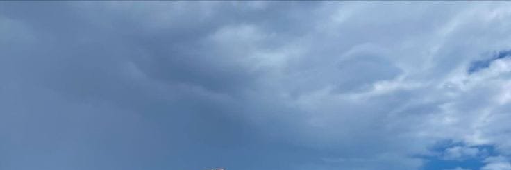Venessa banner