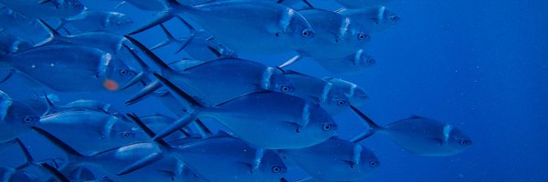 trackdat_fish Profile Banner