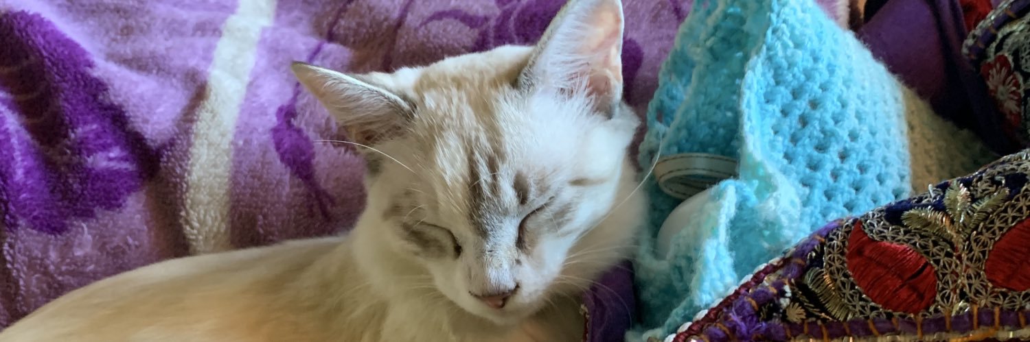 pilowdy's profile banner image