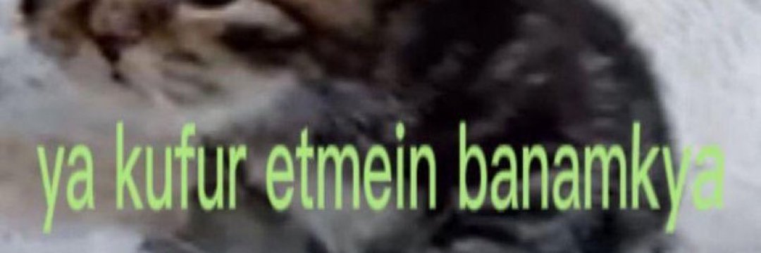 jusalthea's profile banner image