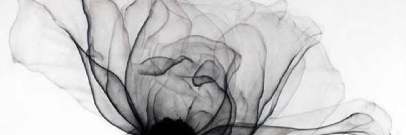 某种美女 banner
