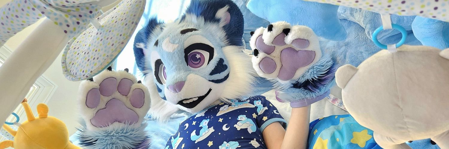 Silly Lil Kitten banner