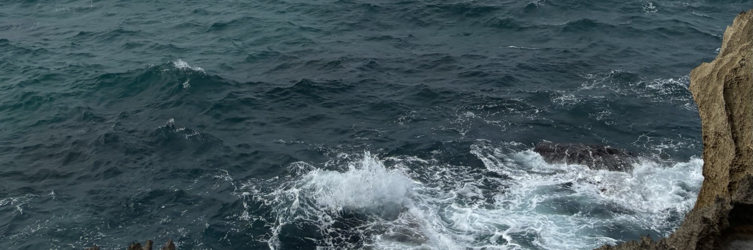 snowofthebeach's profile banner image