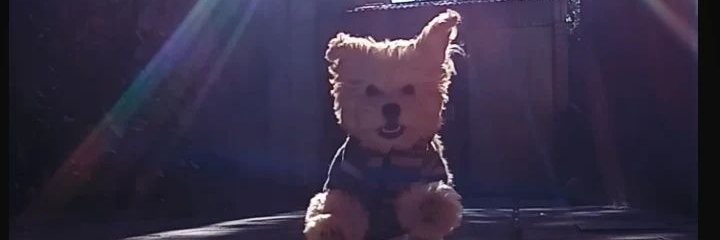 PelizzaOK_'s profile banner image