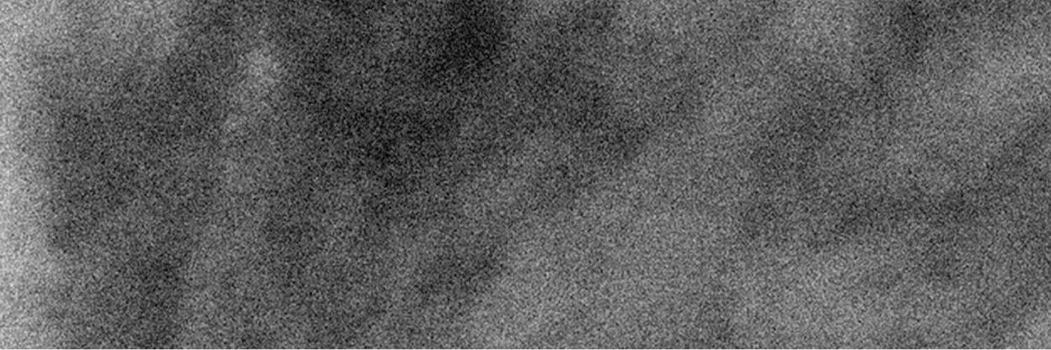 Adam Freeland banner