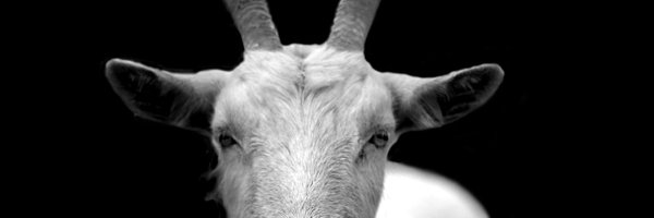 Rdzsilva_ banner