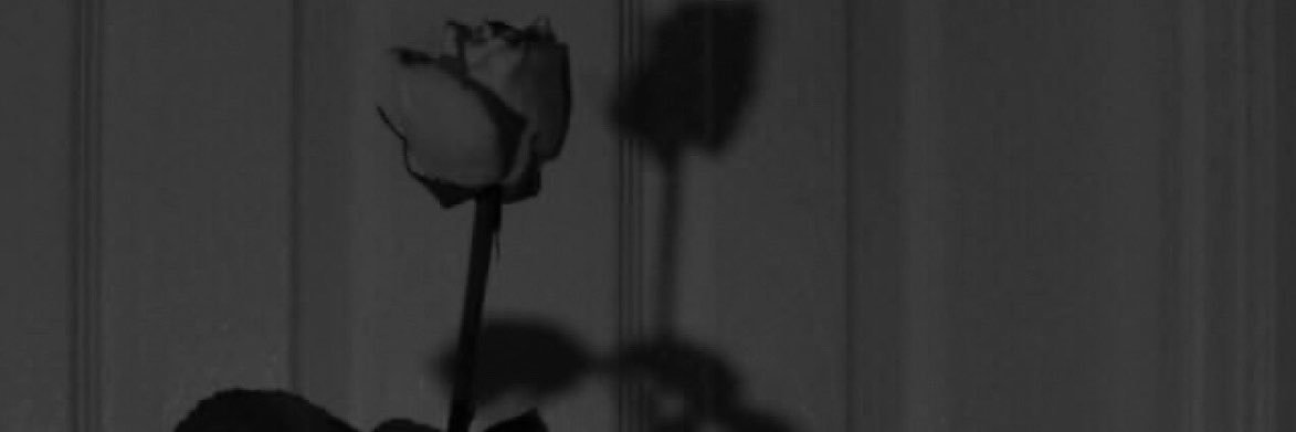 trulyarii's profile banner image