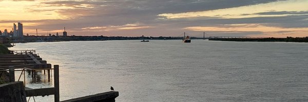 MoreVeCorta Profile Banner