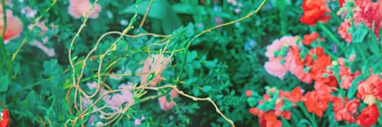 2026 태연 생일카페 banner