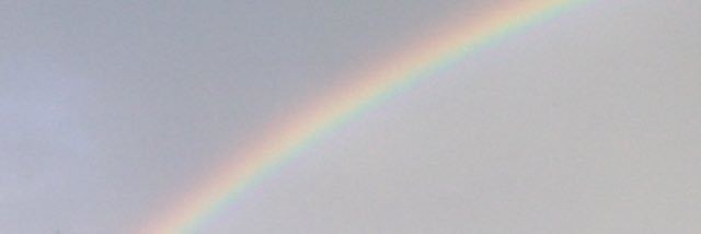 kellyaschaefer's profile banner image