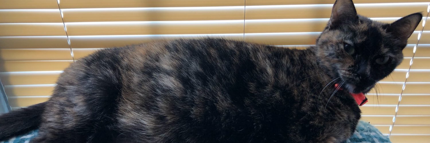 tootusmalootus's profile banner image