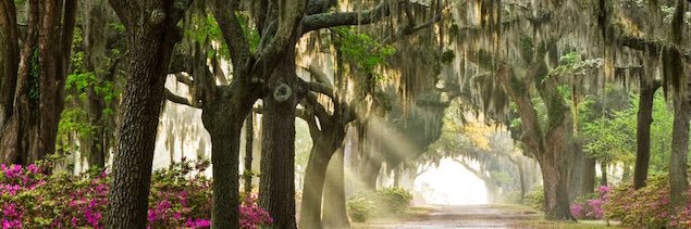 astharpe's profile banner image