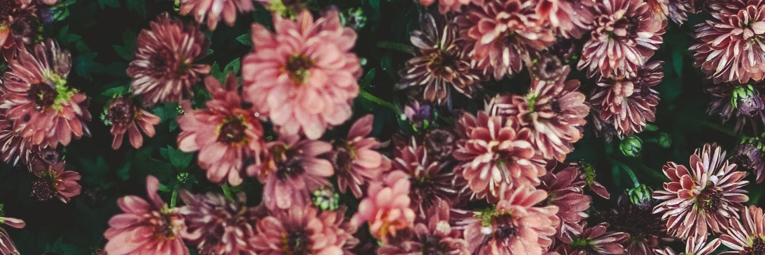 tasmin1s's profile banner image