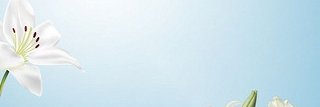 JiYan31344's profile banner image