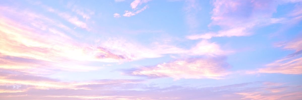 snowyfoxess's profile banner image