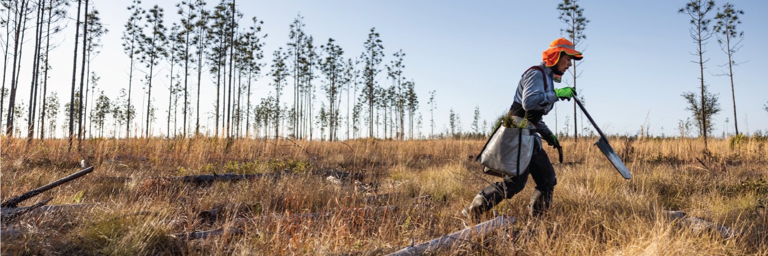 Arbor Day Foundation banner