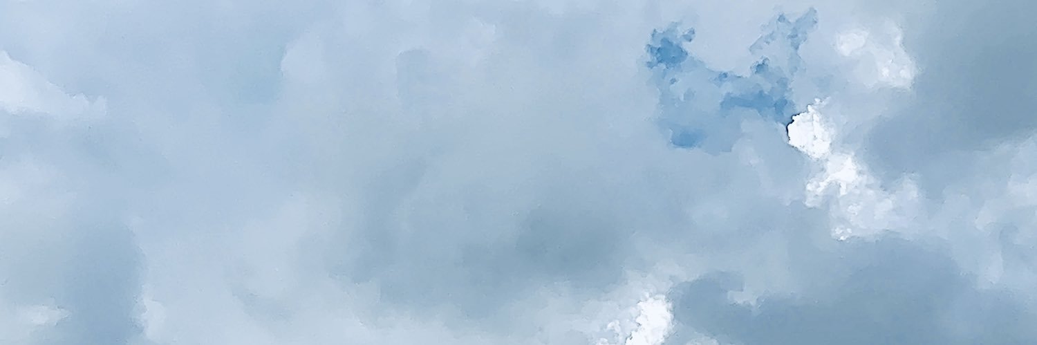BrizzaTorres's profile banner image