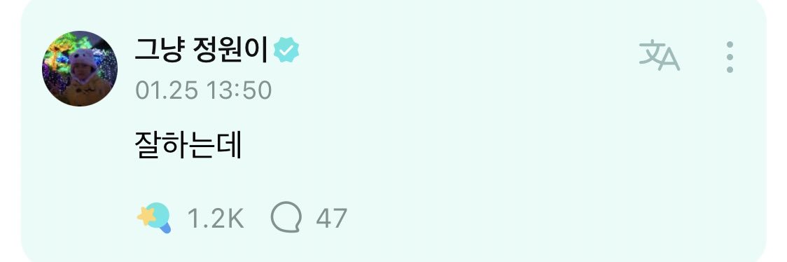 wonbloom🐈🔀 banner