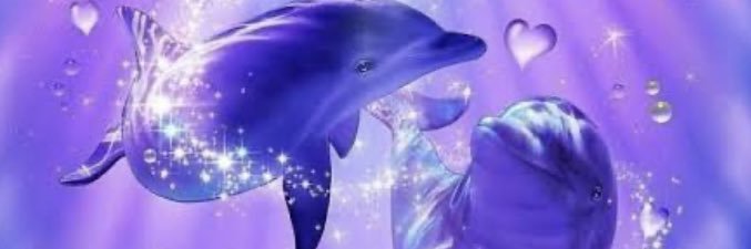 彩虹🐬໒꒱·̩͙(¯꒳¯)ᐝ𐂂🌈 banner